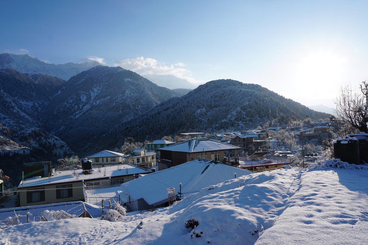 Ess & Bee Resorts Dharamshala Bagian luar foto